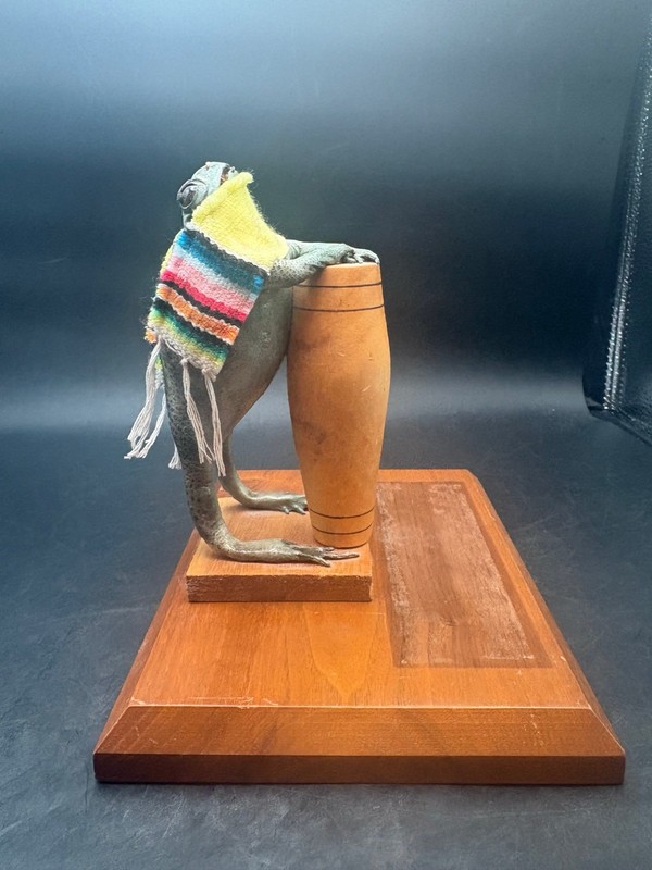 Vintage Taxidermy Green Frog Playing Bongos Plaque Mexico