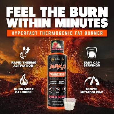 ALPHA LION Burn2O L-Carnitine Liquid 2000mg ShredBerry Fat Burner  Supplement