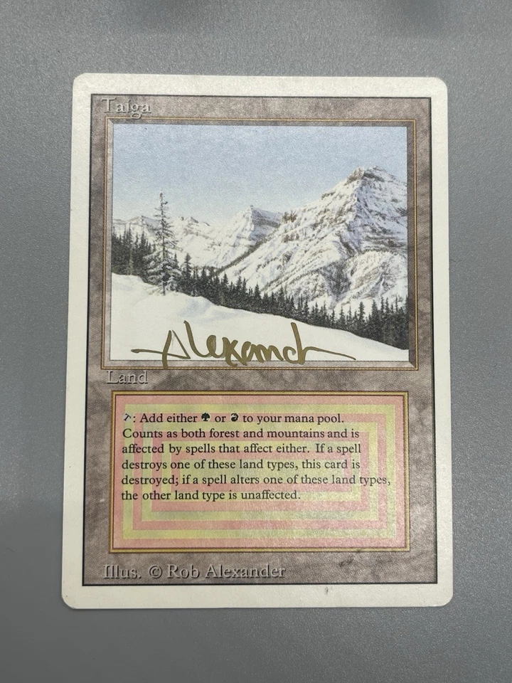MTG Taiga Revised LP Autographed  - Image 3 of 4