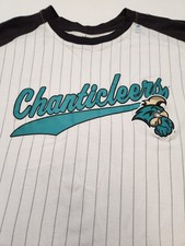 Coastal Carolina University Chanticleers Pinstripe Baseball T-Shirt 3XL