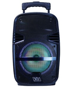 1600 watt speaker