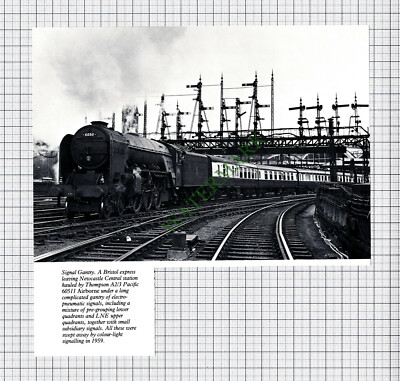 9444) Newcastle Central Railway Station Thompson Pacific 60511 - Zuschnitt