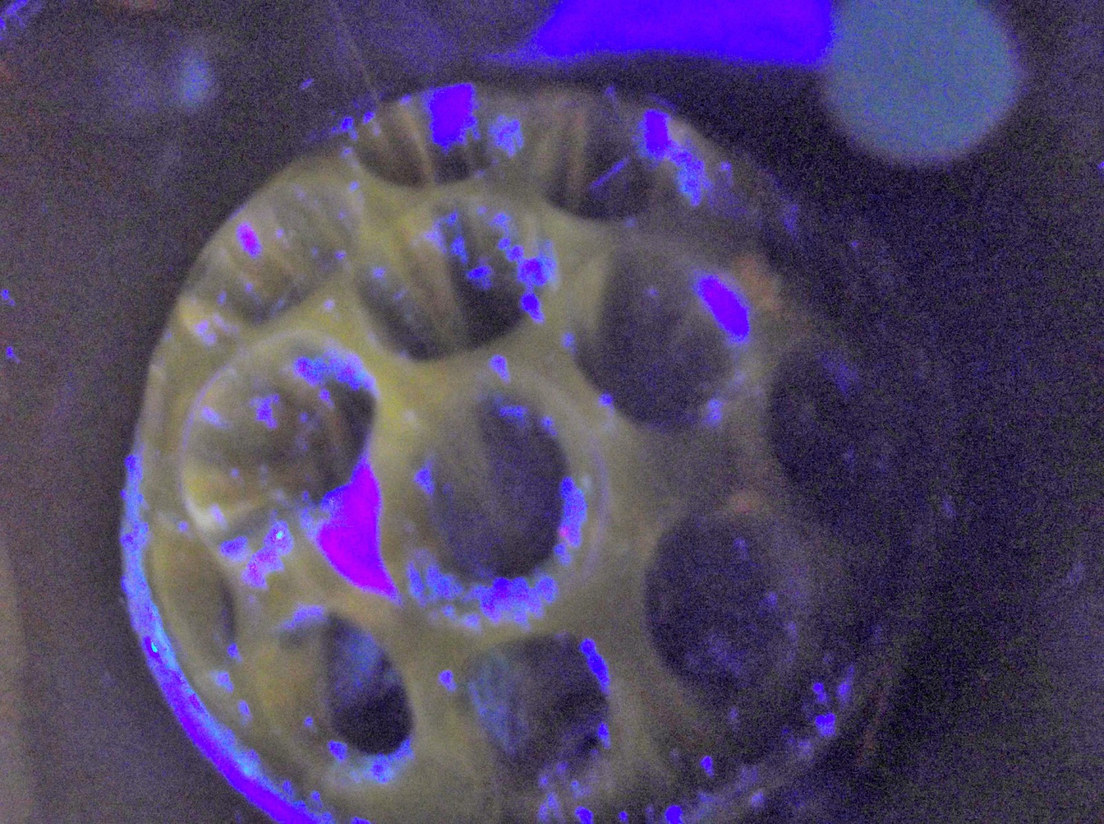 Picture 9 of 10