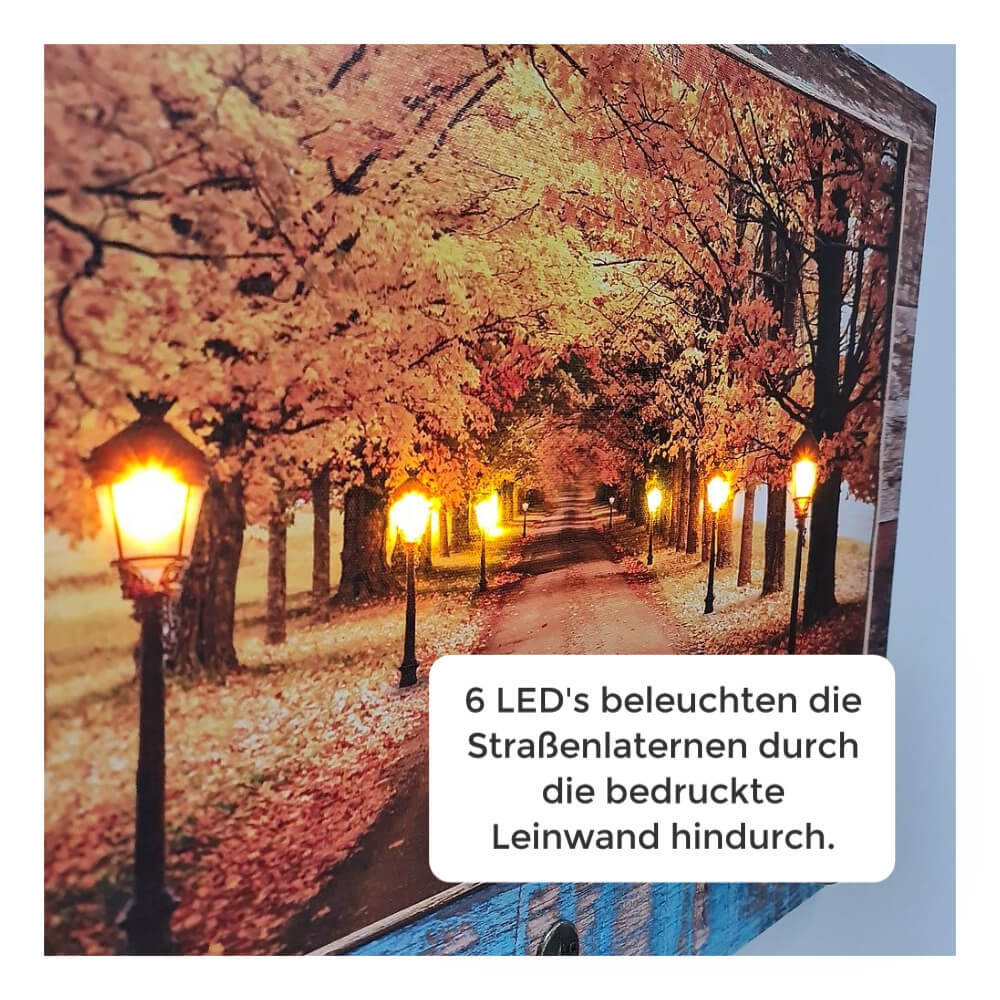 Bild 3 von 7