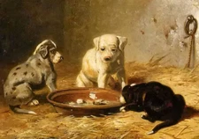 Oil painting bernard tegempt - a new experience lovely and cute puppy little dog