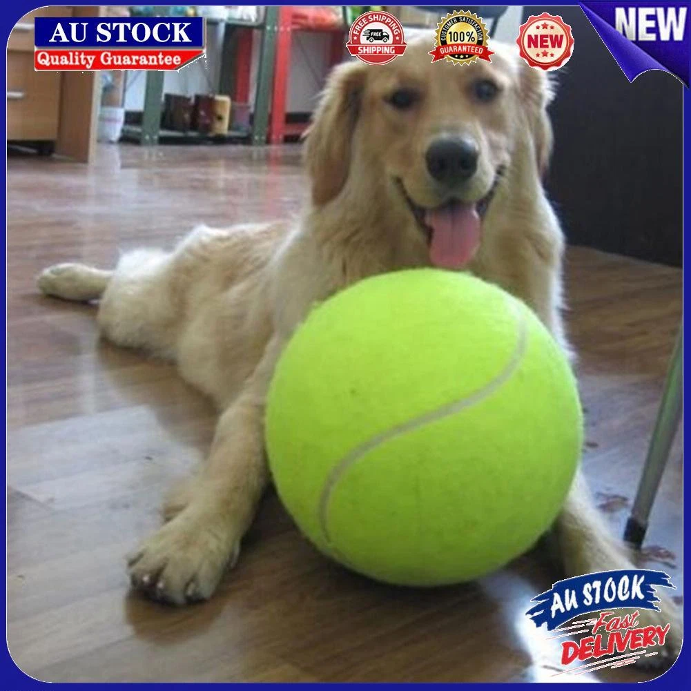 Ball thrower sale for large dogs
