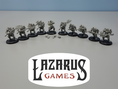 Warmachine: Cygnar - Stormguard (Privateer Press)