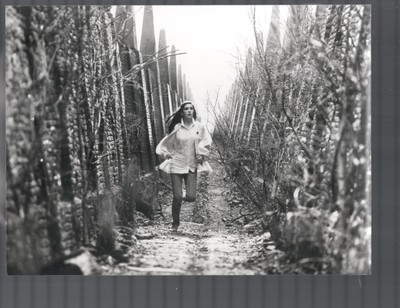 Labyrinth 9x7 Still Jennifer Connelly Fantasy