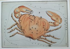 Urania's Mirror Print Sidney Hall 1825 Cancer Cancer