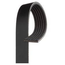 Gates 6PK1228 Keilrippenriemen für Fiat Punto KIA Ceed Ford Toyota Hyundai