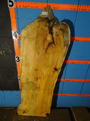 A2139    2'' THICK   KILN DRIED spalted  box elder live edge slab