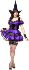 Midnight Witch Wicked Gothic Black Purple Fancy Dress Up Halloween Adult Costume