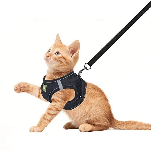 Dog Harness and Leash Set, No-Pull Breathable Soft S (Chest 11.8-13.3'') Black