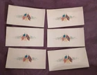 Civil War Celluloid REUNION Badge  paper insert  part  unused Lot of 6