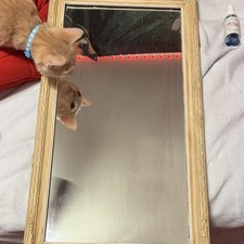 Rectangular Beige Wood Framed Accent Mirror Wall Mounted for Bedroom Living Room