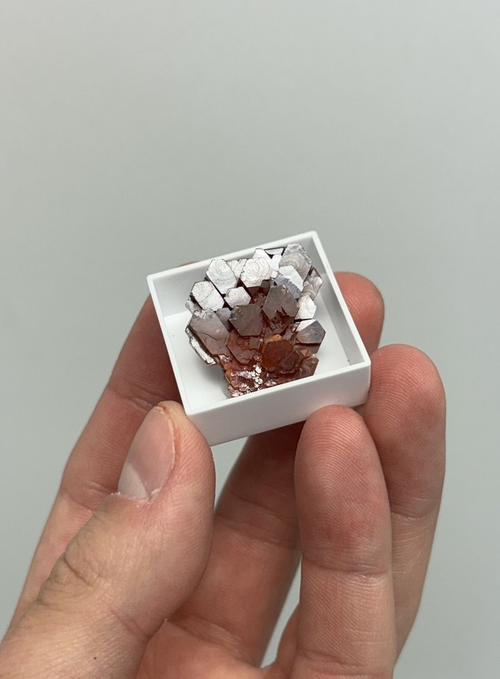 Dark AAA Vanadinite Crystal Cluster in Specimen Box Morocco Perfect