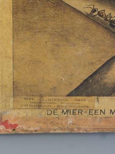 Late 19th Century Dutch Lithograph School Poster Print by H J van Lummel - Picture 5 of 8