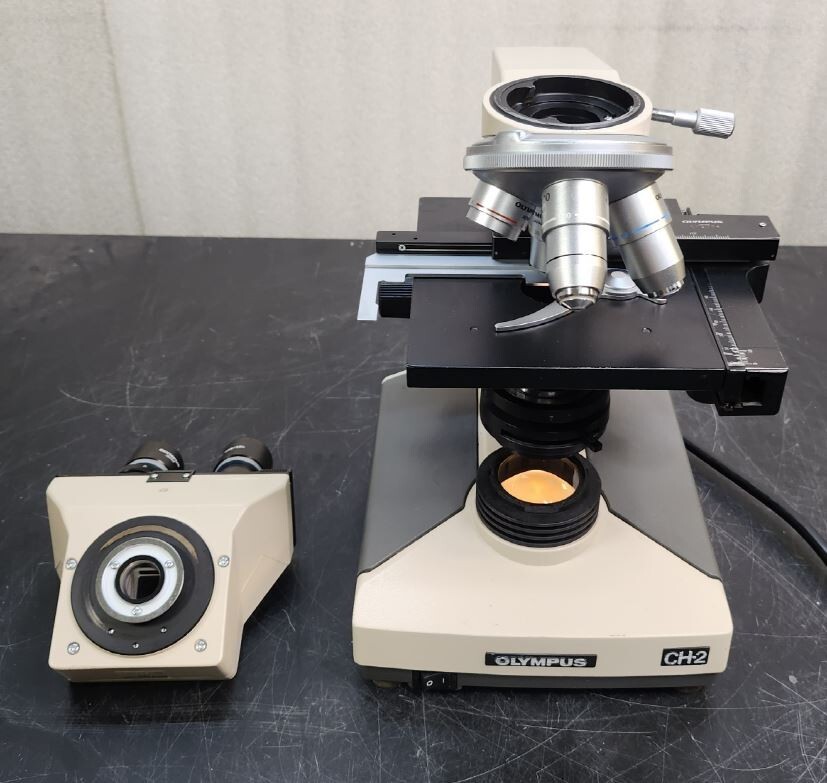 【極美品】OLYMPUS U7000 【可動品】 Olympus CH2 Microscope with 4 Objectives(4x,10x,40x,100x) | eBay