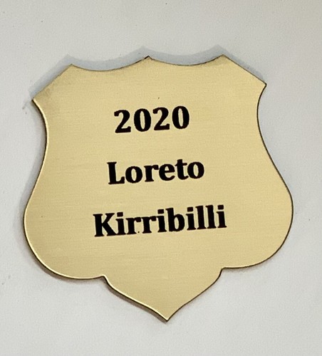 PERSONALISED LASER ENGRAVED BRUSHED GOLD SHIELD PLATE ADHESIVE TROPHY PLAQUE - Picture 4 of 4