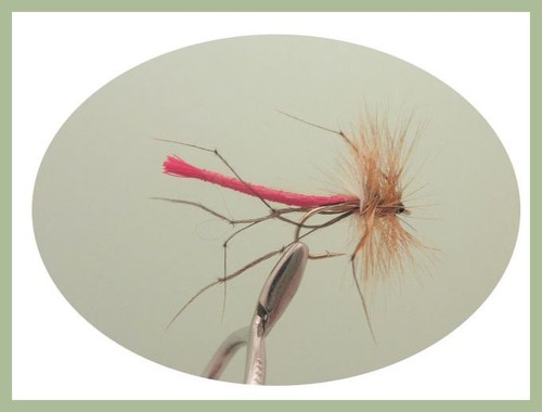 Daddy Long Legs Trout Flies, 30 per Box, Mixed Variety & Size. For Fly Fishing - Picture 10 of 10