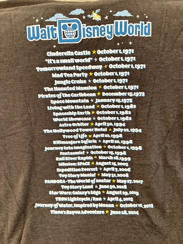 Walt Disney World Parks Attractions opening day concert style Shirt 2024 - Picture 4 of 4