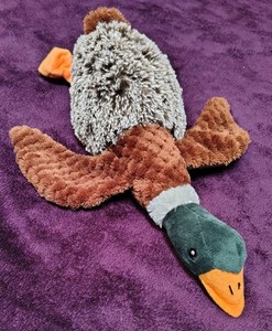 Vibrant Life Plush Mallard Duck Dog Toy with Honker Squeaker