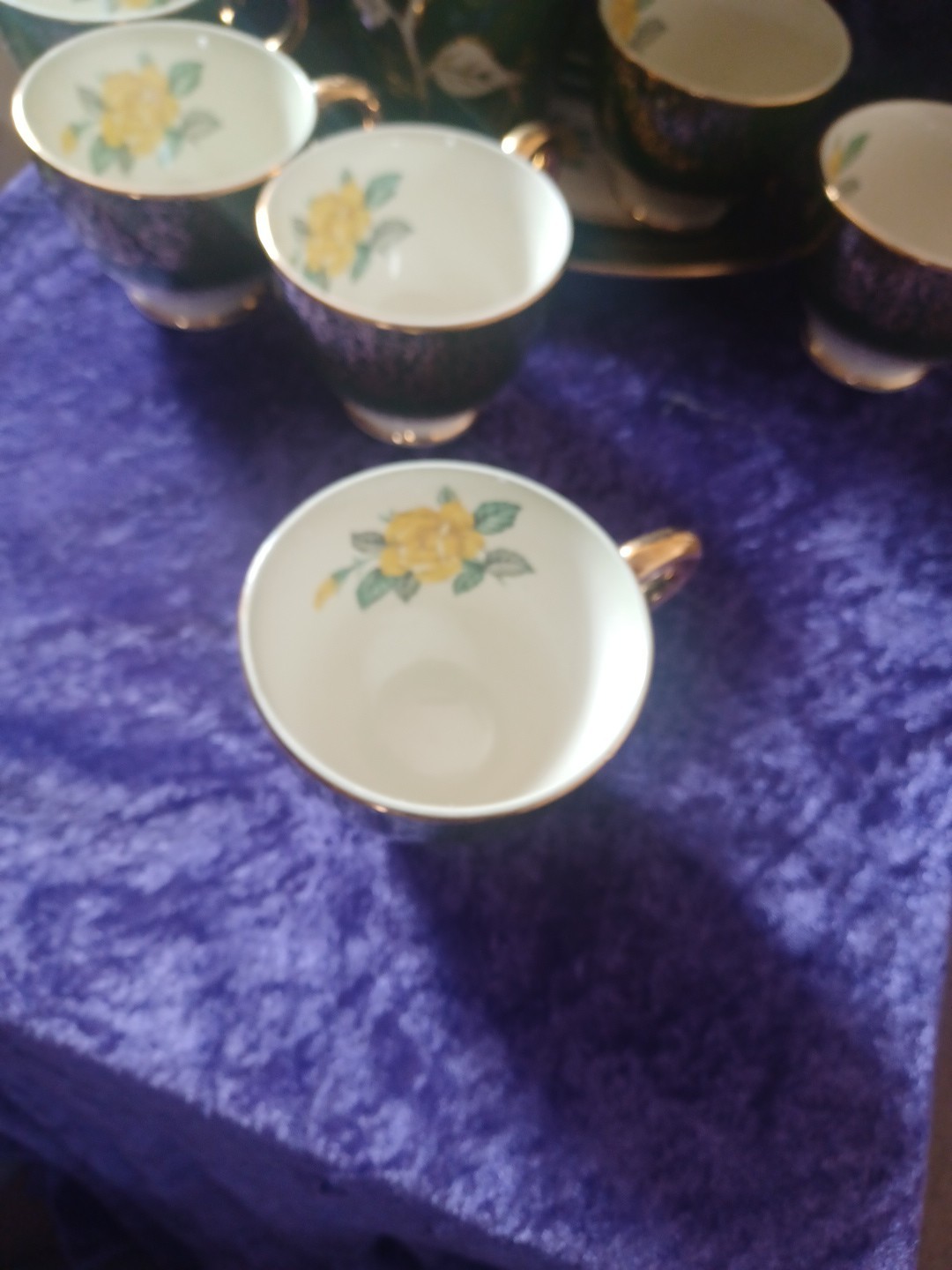 Picture 5 of 12