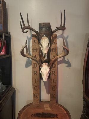 #ad #ad Rustic Barrel European Deer Skull Mounting Plaques $62.99