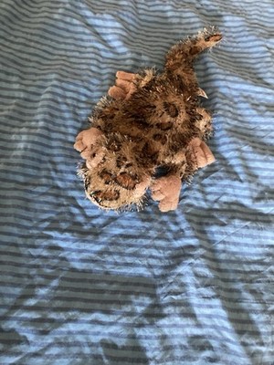 Geko von der Firma GANZ / Webkinz
