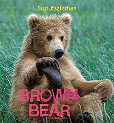 Eye On The Wild : Braunbär Taschenbuch Suzi