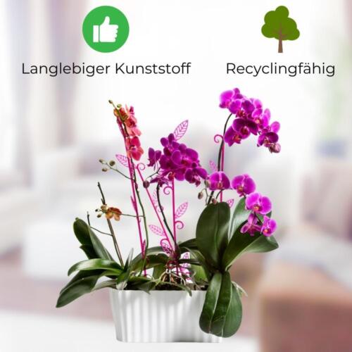 Orchideentopf Blumen Kasten Übertopf f. mehrere Pflanzen Kunststoff durchsichtig - Bild 2 von 14