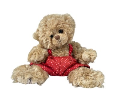 Bukowski Teddy Bär 20 cm. - Top Zustand.  