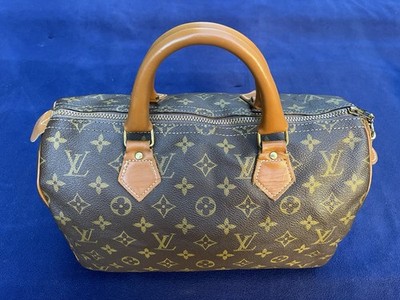 Louis Vuitton Purse