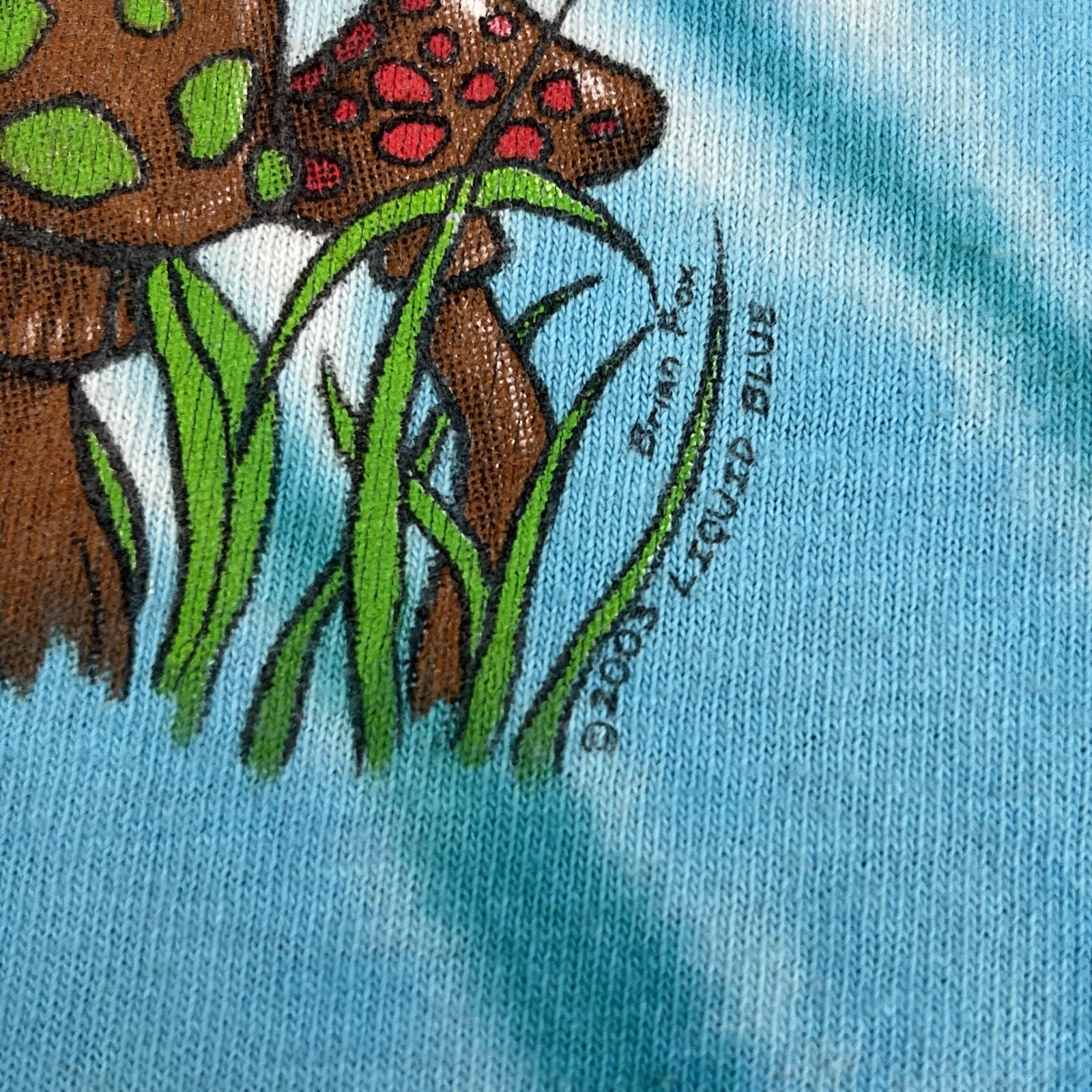 Foto 12 di 15