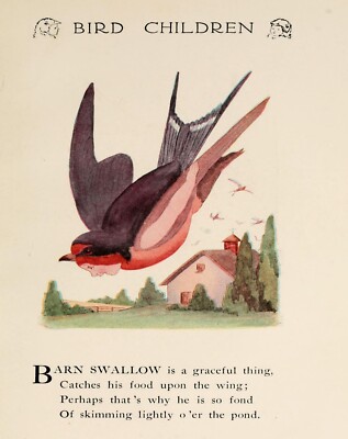 4450 Ross, M.T. (1881-1937) - Bird Children 1912 - Barn Swallow