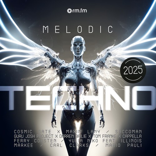 LP Melodic Techno 2025 von Various Artists prezzo ebay