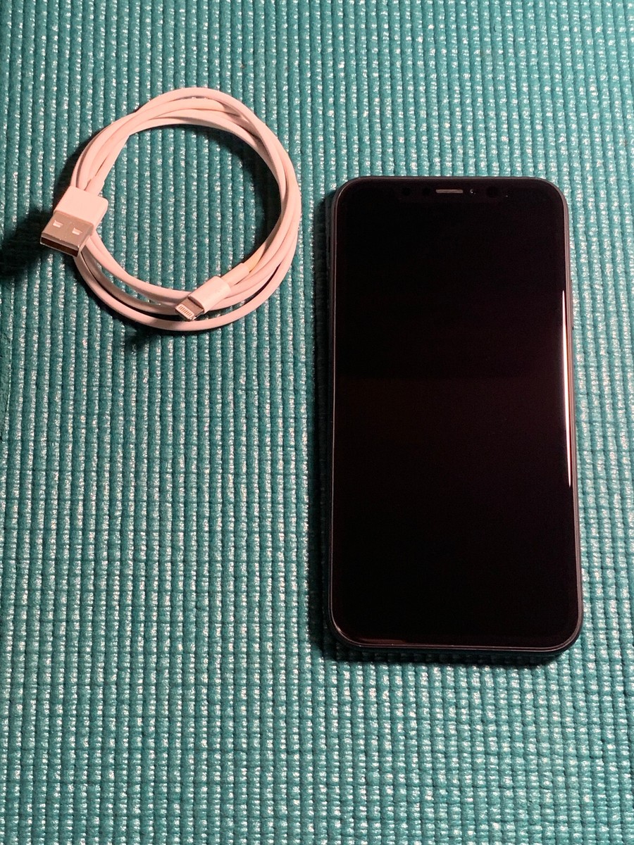 While Charging Apple Watch Blinking Apple Logo On Charger Screen