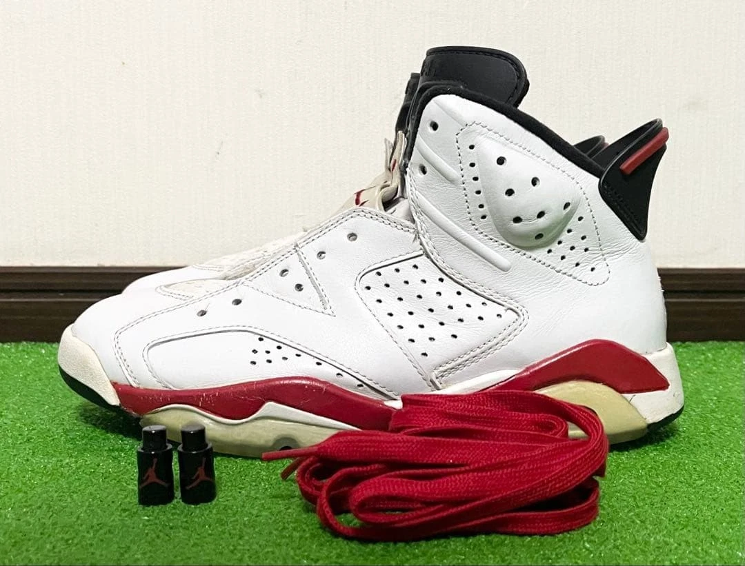 Jordan 6 Retro Slam Dunk | eBay