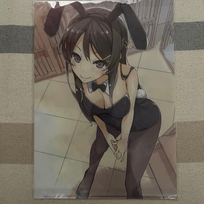Rascal Does Not Dream Clear File -27-