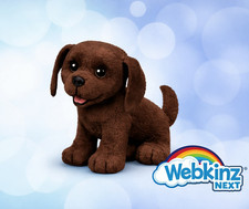 Webkinz Next Chocolate Lab Code Only 2026 - Virtual Pet Kinz - Next Code Only