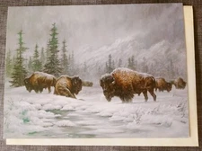 "Colorado Buffalo", (1) Leanin' Tree Blank Inside Card, New With (1) Envelope