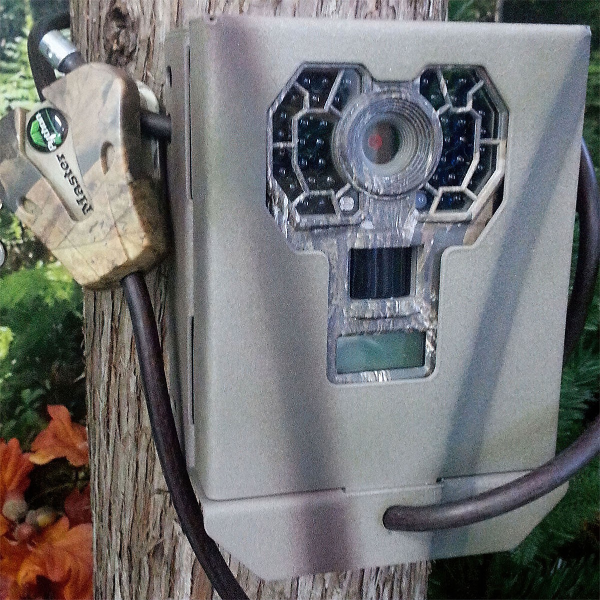 CAMLOCKBOX Stealth Cam G Series Security Box, Set of 2 (17700-x2-BUNDLE)