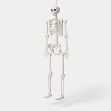 60" Multi Pose-N-Stay Poseable Lifesize Skeleton Halloween Decorative Prop