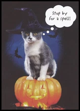 Greeting Card - Cat Kitten - Halloween 0847