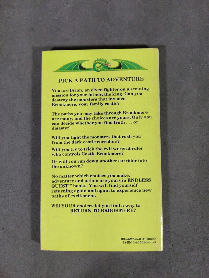 Dungeons & Dragons Endless Quest Book 4 • Return to Brookmere Rose