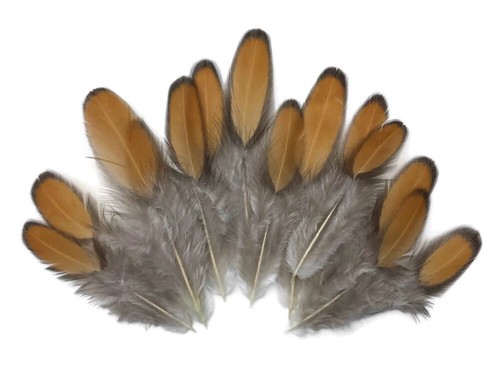1 Dozen - Golden Brown Whiting Farms Laced Hen Saddle Feathers Fly Tying Craft - Picture 6 of 12