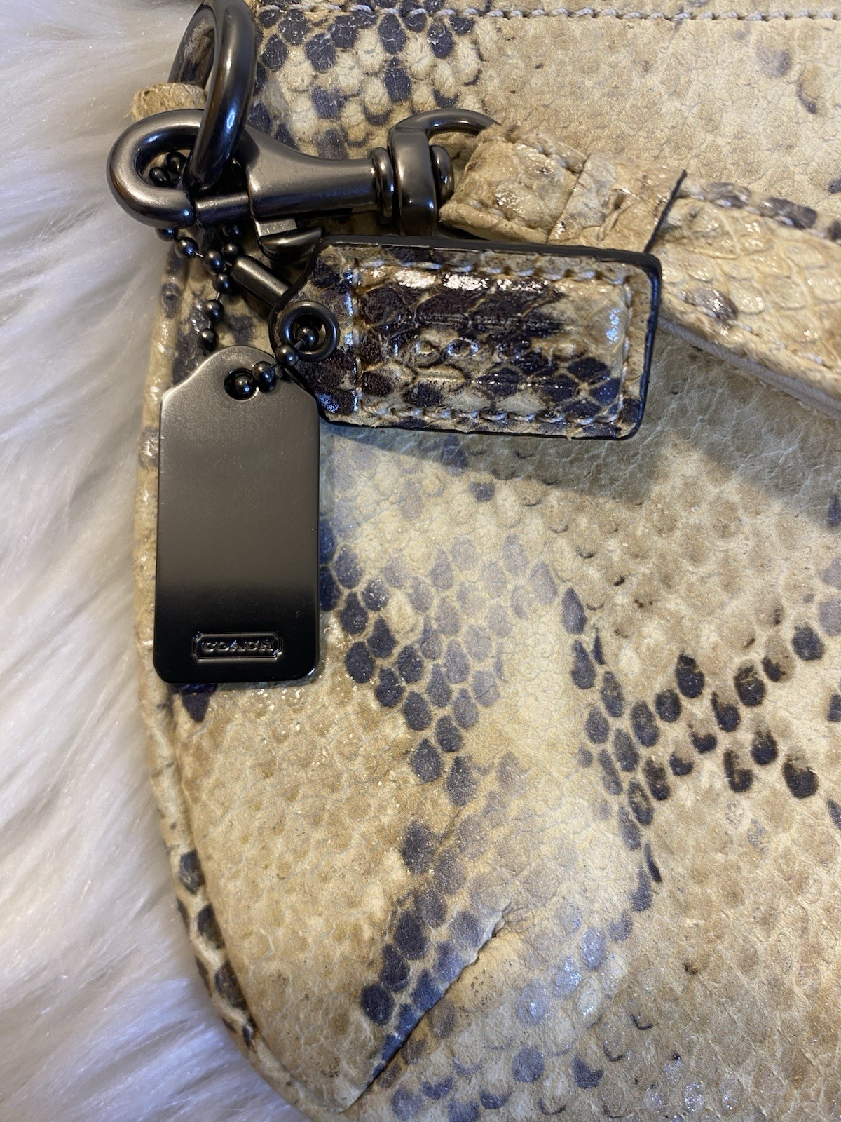 Coach Cream & Silver Colored Python Embossed Leat… - image 4