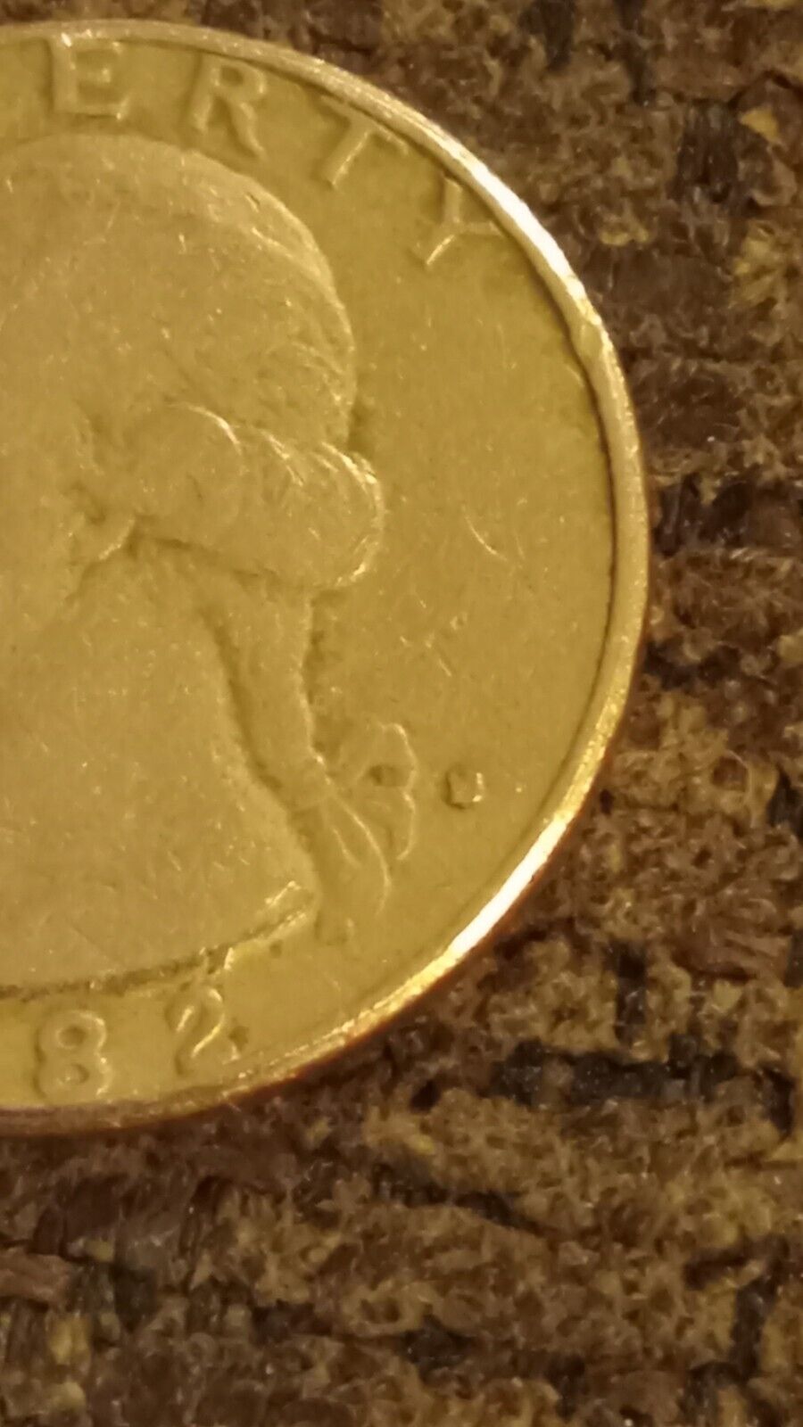Picture 8 of 14