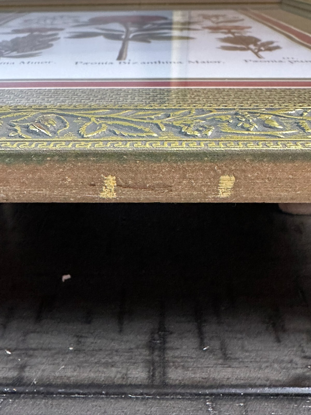 Set of 2 Gold Framed Botanical Flower Prints | Vintage Wall Art 18x14