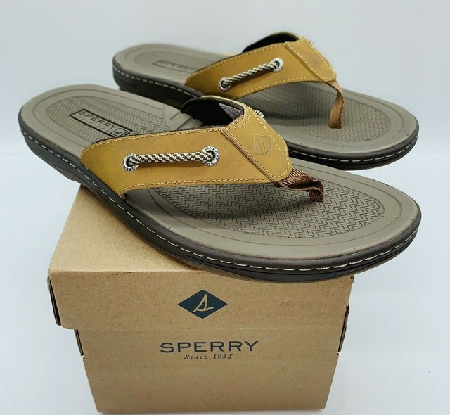 sperry leather flip flops